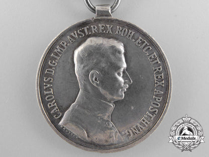 a_lot_of_austrian_badges,_awards,_and_insignia_a_8303