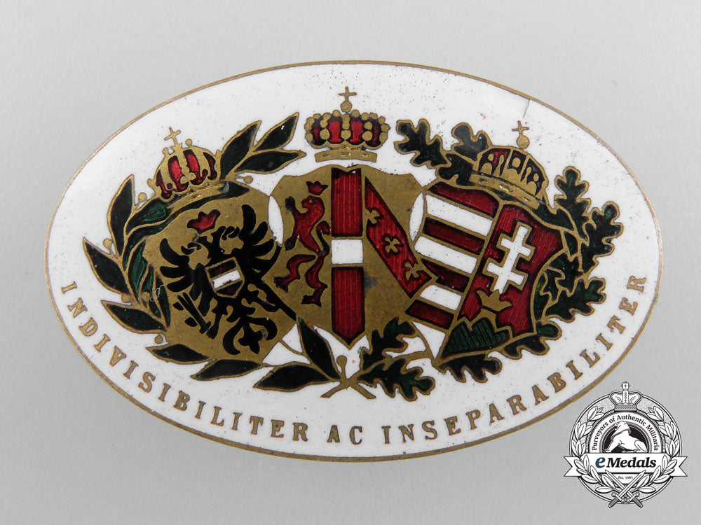 a_lot_of_austrian_badges,_awards,_and_insignia_a_8305