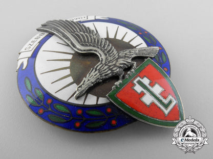 a_second_war_hungarian_levente_leader’s_badge_a_8908