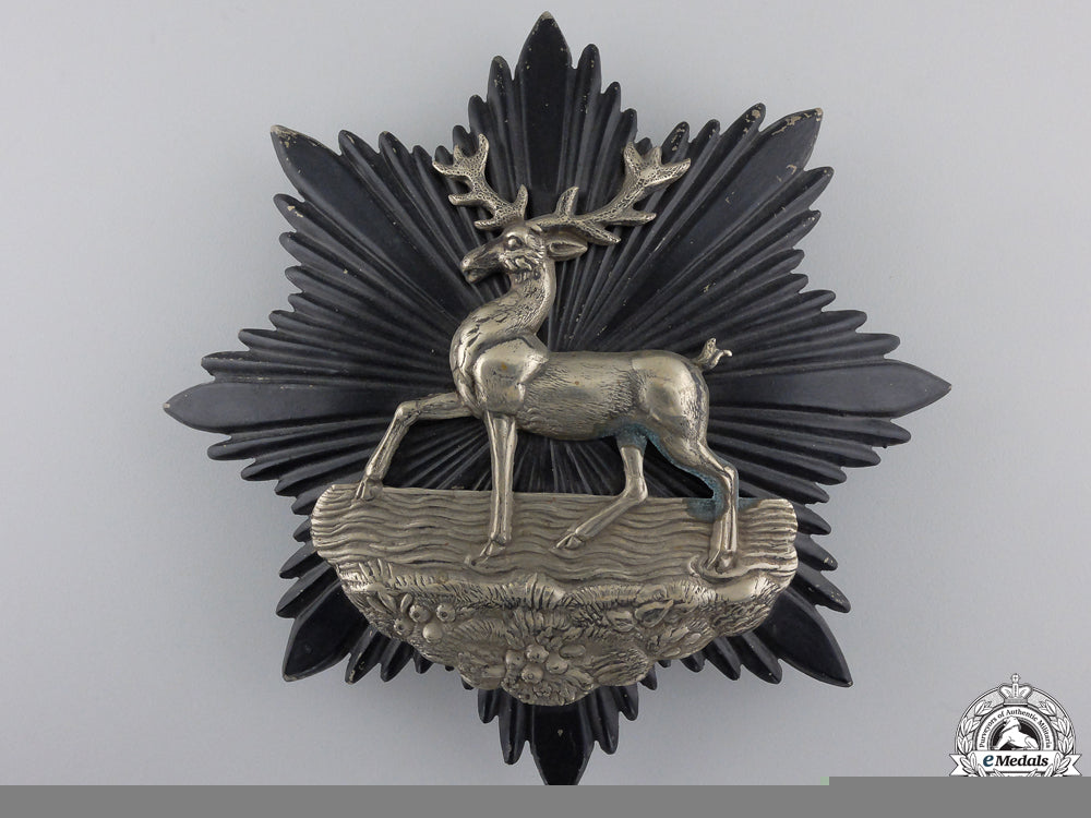 a_bedfordshire_regiment_helmet_plate_a_bedfordshire_r_551c4f2335f8f
