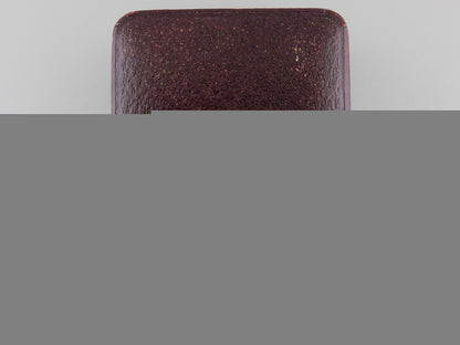 a_case_of_issue_for_a_bavarian_aviation_badge_a_case_of_issue__55d8975dd32e3