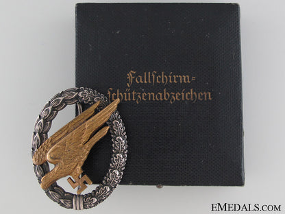 a_cased_paratrooper_badge_by_bsw_a_cased_paratroo_52a724668dff7