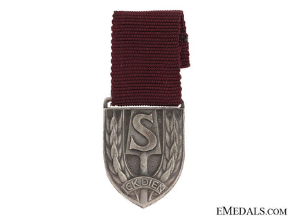 a_dutch_nazi_rad_medal__a_dutch_nazi_ra_51489344a8c98