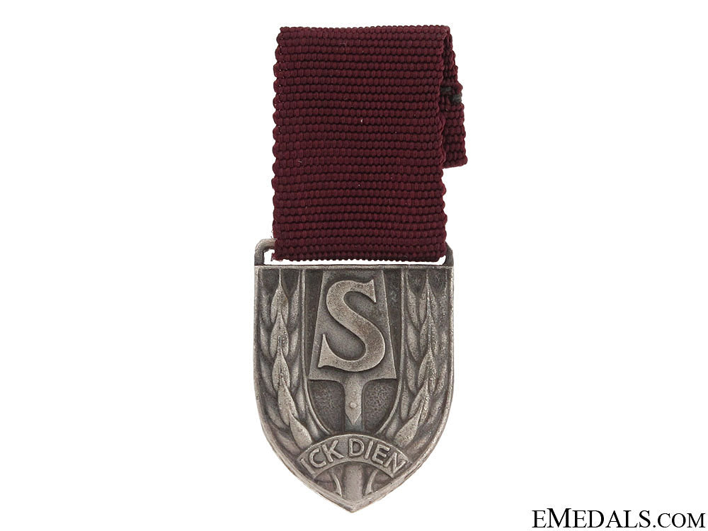 a_dutch_nazi_rad_medal__a_dutch_nazi_ra_51489344a8c98