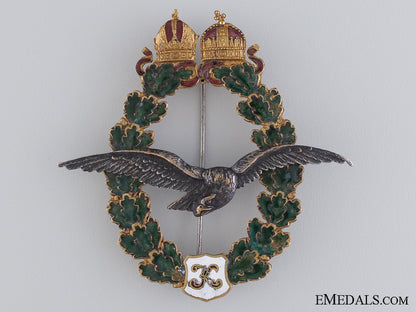 a_first_war_austrian_pilot's_badge_a_first_war_aust_544657f050cdc