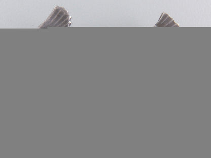 a_first_war_german_empire_aviation_pin_a_first_war_germ_55b395c257404