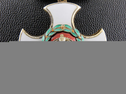 a_george_v.r.distinguished_service_order_with_case_a_george_v.r.dis_556329178b285