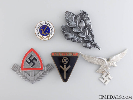 a_lot_of_five_german_insignia&_pins__a_lot_of_five_g_546392a61e0c8