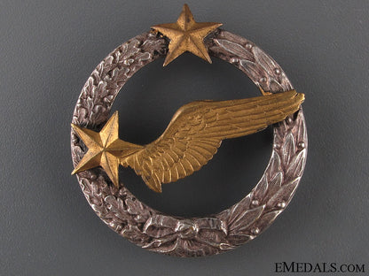 a_pre_wwii_air_force_observer's_badge_a_pre_wwii_air_f_521672ea20803