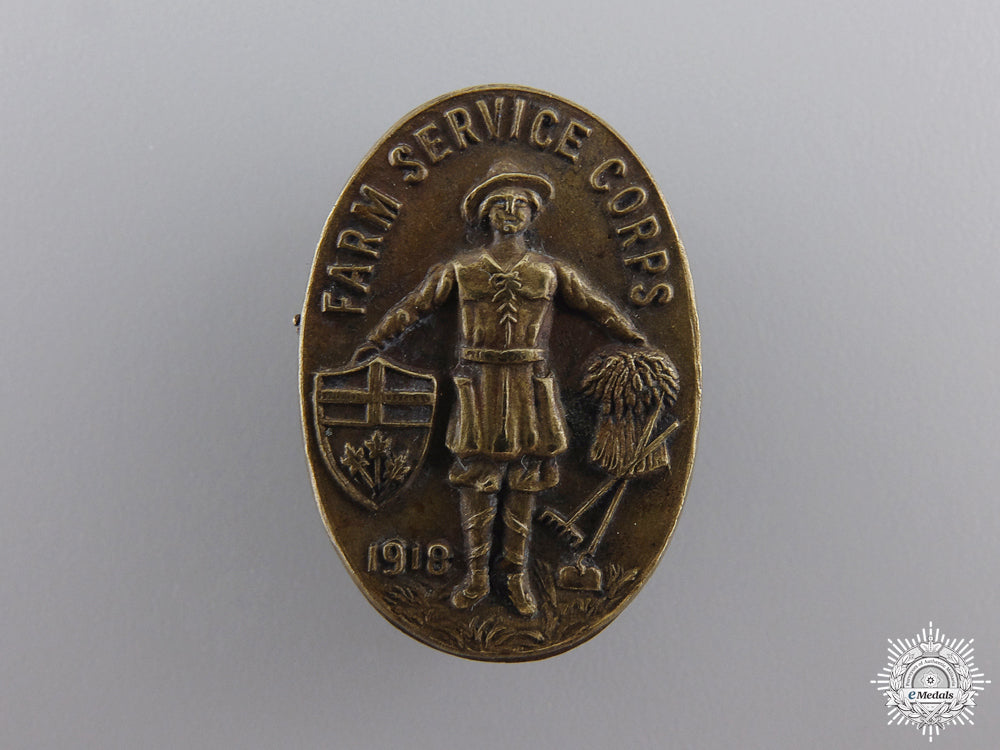 a_rare1918_ontario_farm_service_corps_badge_a_rare_1918_onta_54ccfc413ddab