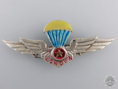 A Rare North Vietnamese Paratrooper Wing