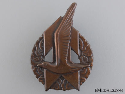 netherlands._a_scarce_jeugdstorm_sports_badge;_boys_version_a_scarce_dutch_j_54676bcf946f1_1