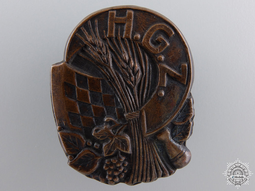 a_second_war_croatian_guard_unit(_h.g.z.)_badge_a_second_war_cro_54ece05fb14a8