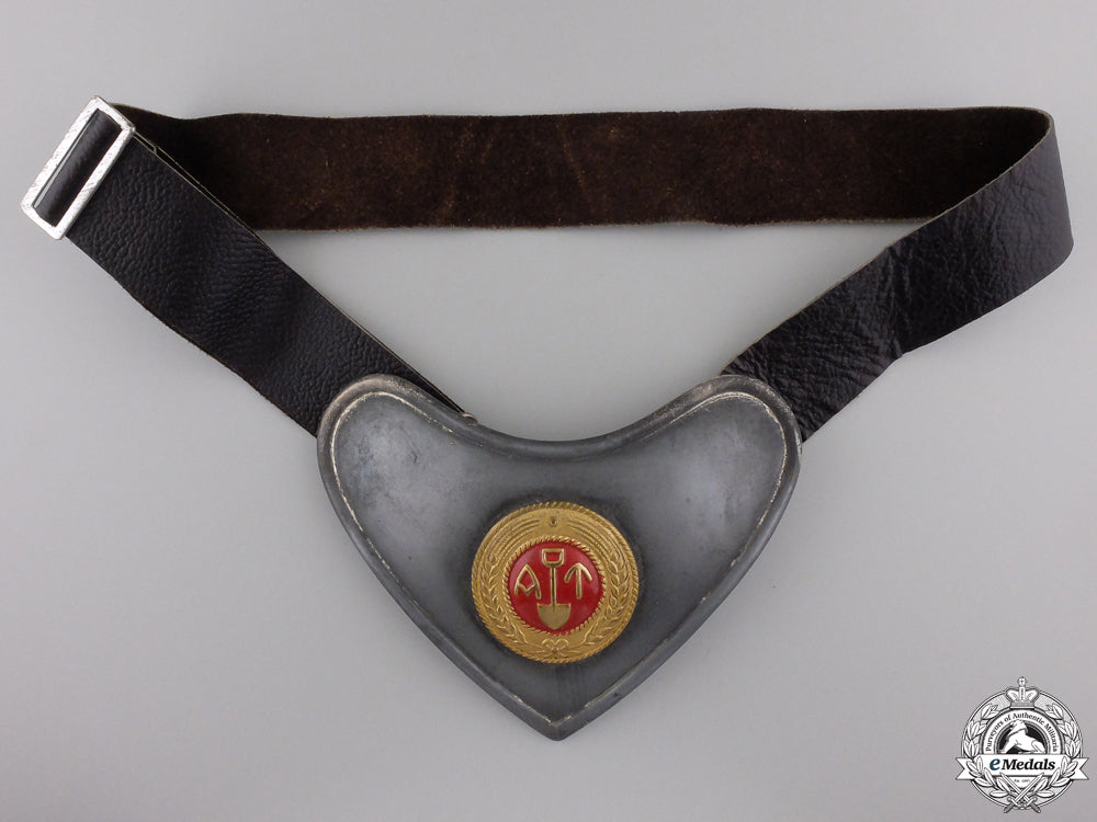a_second_war_norwegian_labor_service"_arbeidstjensten"_gorget_a_second_war_nor_558572a15806d_1_1