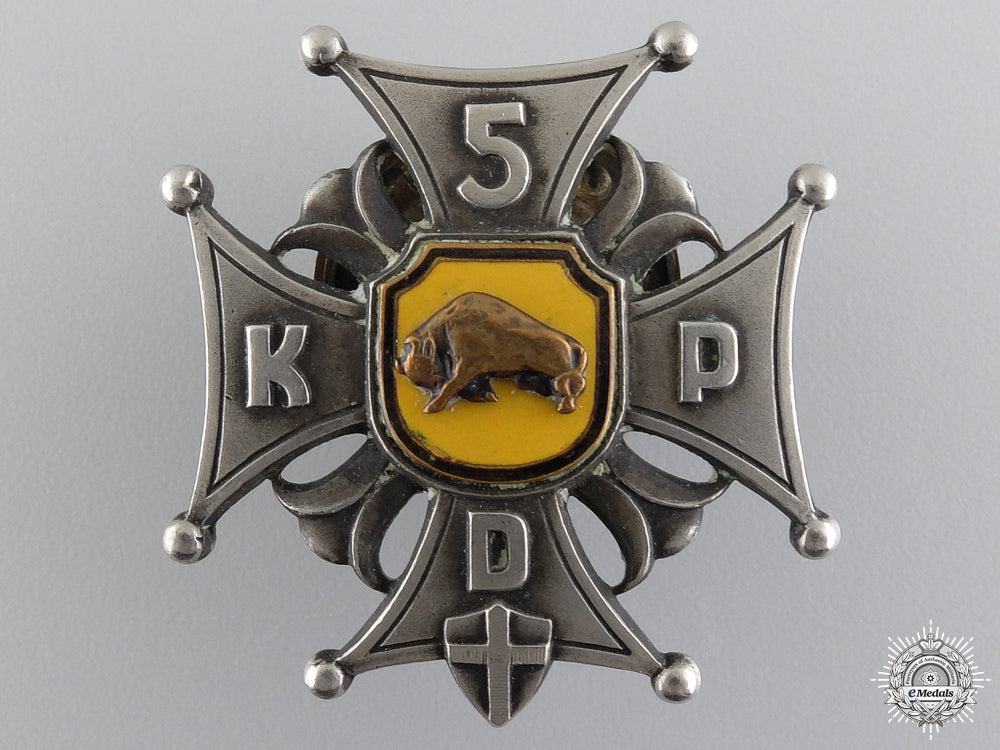 a_second_war_polish5_th_borderlands_infantry_division_badge;_italian_made_a_wwii_polish_5t_54b151e47d79f