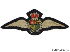 A Wwii South African Pilot Wing