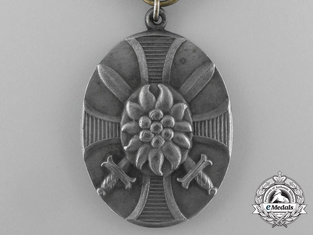 a_royal_bavarian_life_guard_regiment_defence_of_tirol_commemorative_medal1915_aa_4525