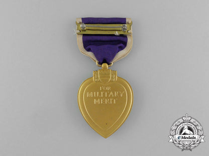an_american_purple_heart_aa_6211