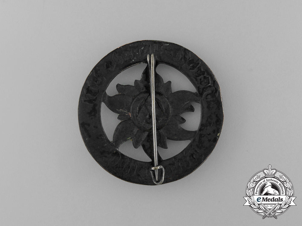 a1933_sa_brigade_autumn_parade_badge_aa_6353