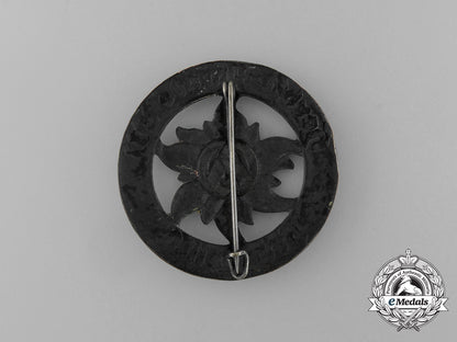 a1933_sa_brigade_autumn_parade_badge_aa_6353