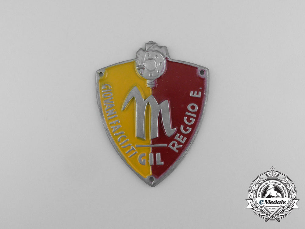 an_italian_gil_fascist_youth_regiment"_e"(_reggio_e)_sleeve_badge_aa_6991