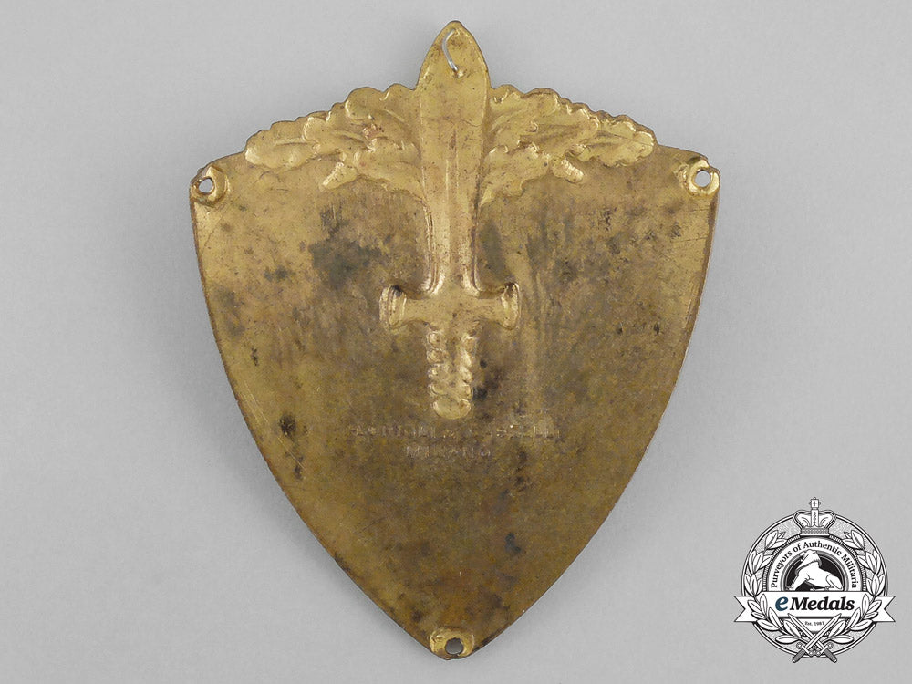 an12_th_infantry_division_of_timavo(12ª_divisione_fanteria_timavo)_sleeve_shield_aa_9758