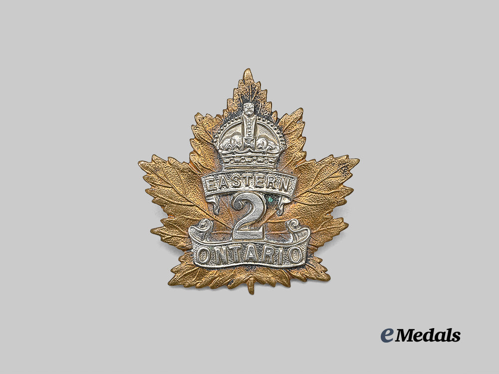 canada,_c_e_f._a2nd_infantry_battalion"_eastern_ontario_regiment"_cap_badge_e_medals__c7538_2