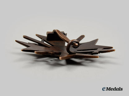germany,_wehrmacht._a_spanish_cross,_bronze_grade_with_swords_ai1_3418
