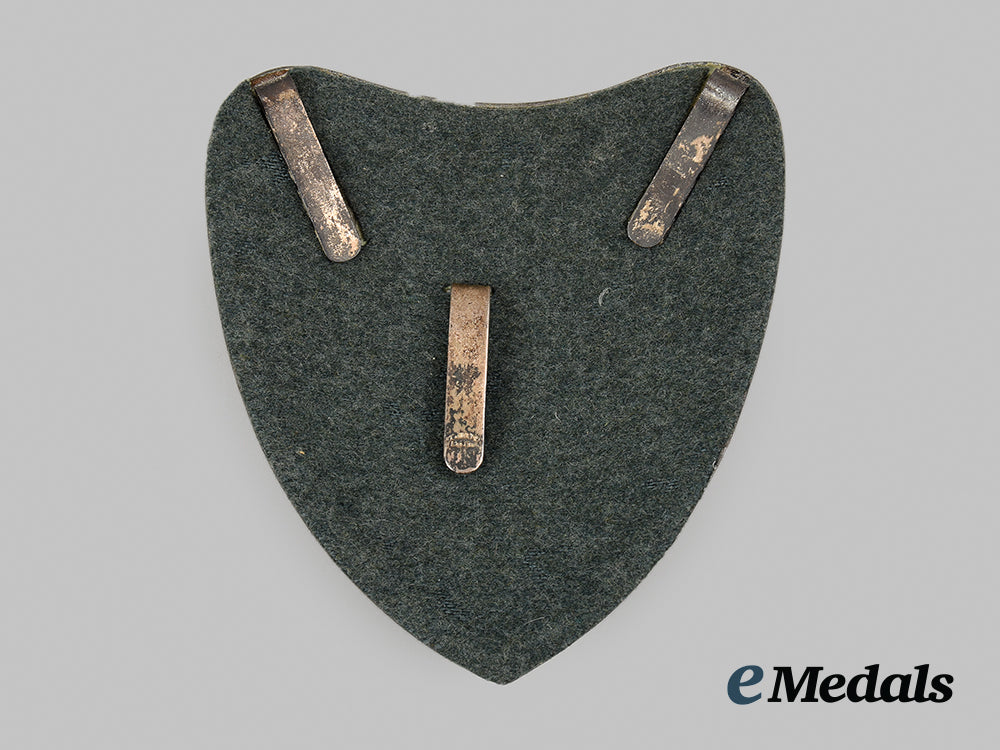 germany,_hj._a_rare_standard_bearer’s_gorget,_with_photo,_by_c.e._juncker_ai1_4594