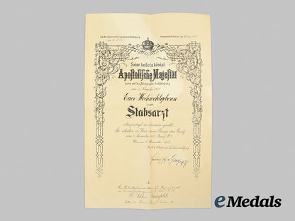austria-_hungary,_empire._a1915_promotion_document_to_dr._viktor_grünfeld_ai1_6310