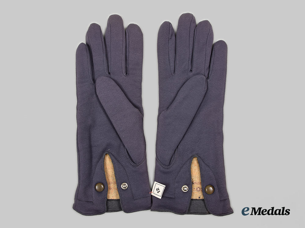 germany,_luftwaffe._a_mint_set_of_officer’s_gloves_ai1_8869_1