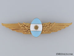 An Argentinian Air Force Wing; Unmarked