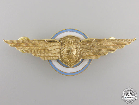 an_argentinian_pilot_wing_an_argentinian_p_5565eb5a1284d