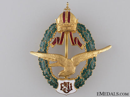 an_austrian_field_pilot_badge_c.1940_manufacture_an_austrian_fiel_53dfb85fe7aa4