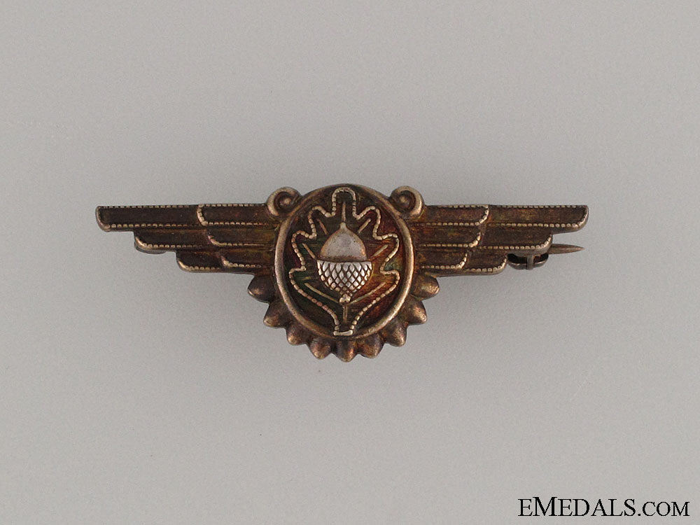 an_early_wwii_naval_flight_surgeon_badge_an_early_wwii_na_52581fa1a4efe