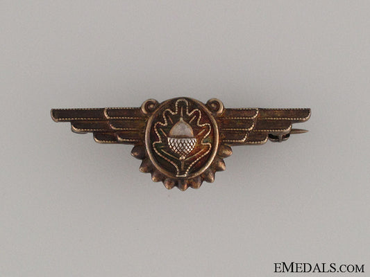 an_early_wwii_naval_flight_surgeon_badge_an_early_wwii_na_52581fa1a4efe