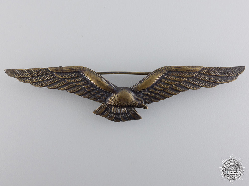 an_indonesian_air_force_pilot`s_wing_an_indonesian_ai_5474908818883