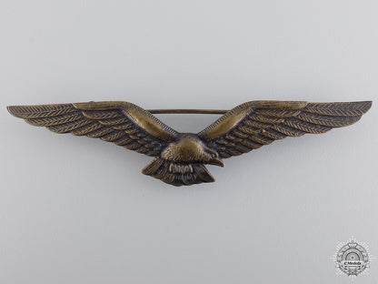 an_indonesian_air_force_pilot`s_wing_an_indonesian_ai_5474908818883