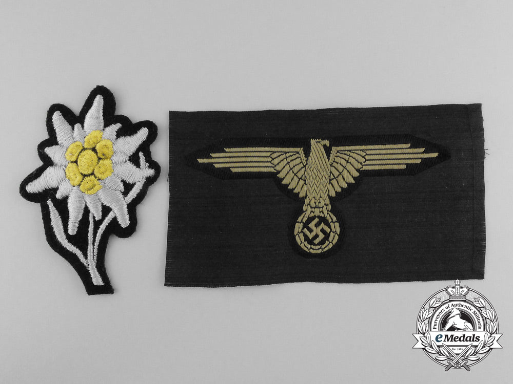 two_german_ss_insignia_b_3006