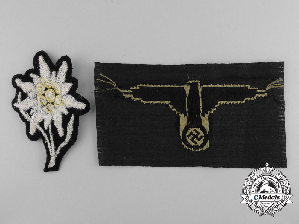 two_german_ss_insignia_b_3007