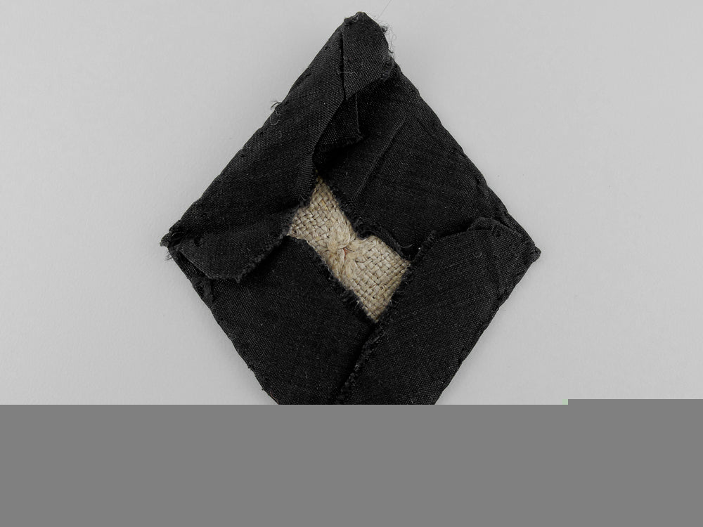 a_political_leader's_sleeve_shield_b_336