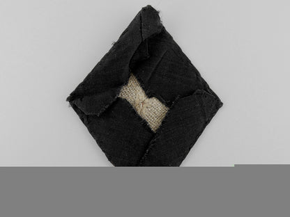a_political_leader's_sleeve_shield_b_336