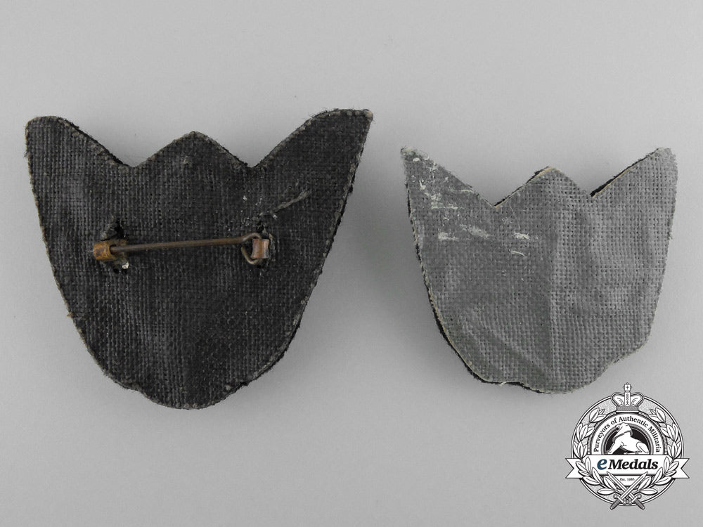 two_british_fleet_air_arm_observer_badges_b_6066