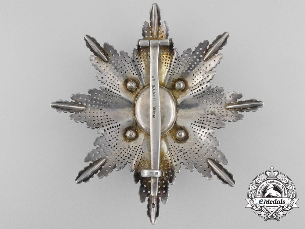 a_serbian_order_of_st._sava;_second_class_breast_star_by_scheid_b_6187