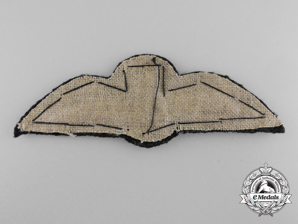 a_fine_royal_air_force(_raf)_pilot’s_wing_b_6713