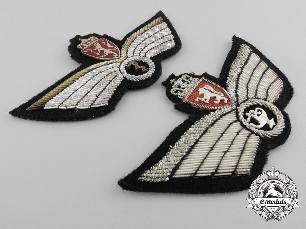 two_norwegian_medical_wings_b_8153