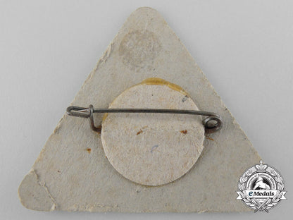 a1936_nsdap_tirschenreuth-_kemnath_group_meet_badge_b_8447_1