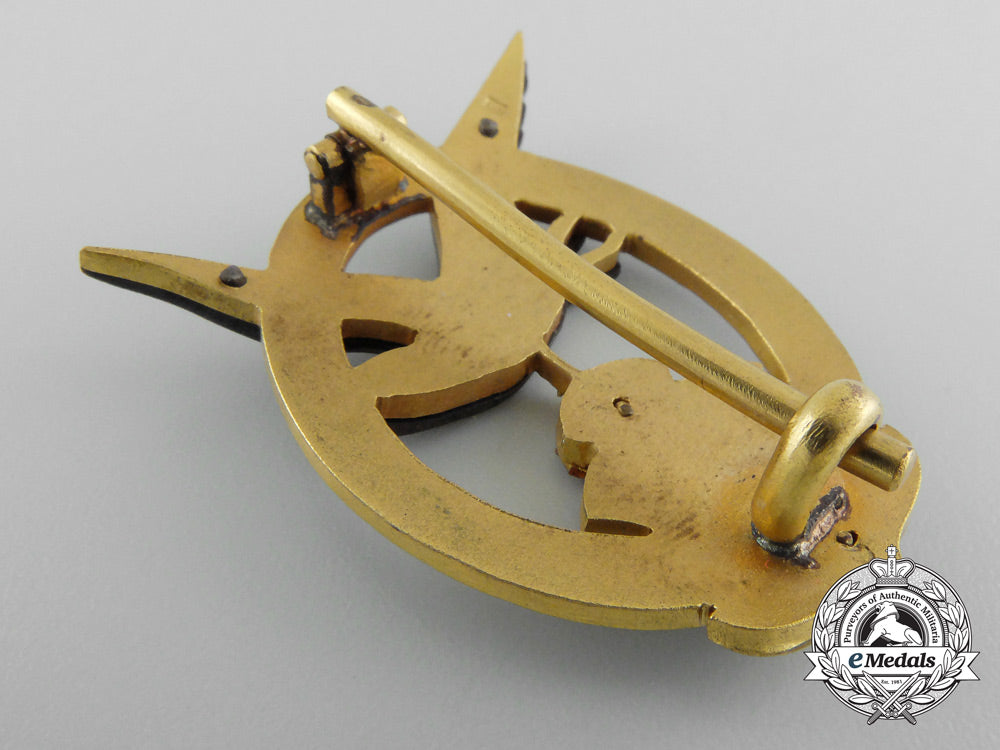 an_austrian_navy_pilot's_badge;1950'_s_production_b_8791_1_1