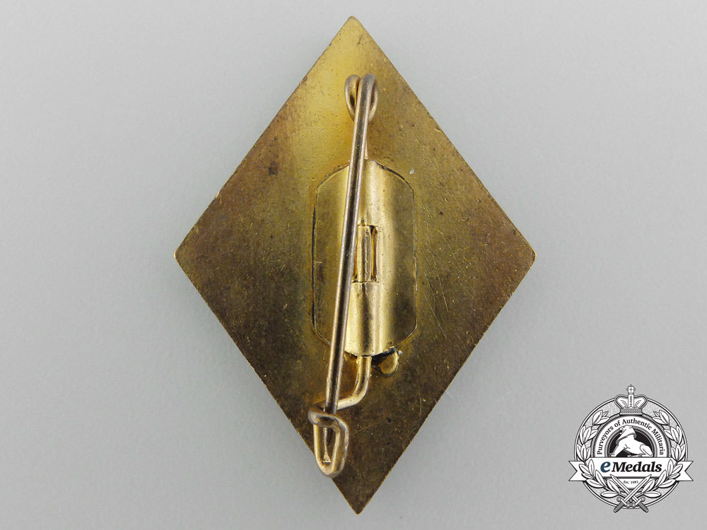 an_nskov(_veteran’s_organization)_honor_badge_b_9100