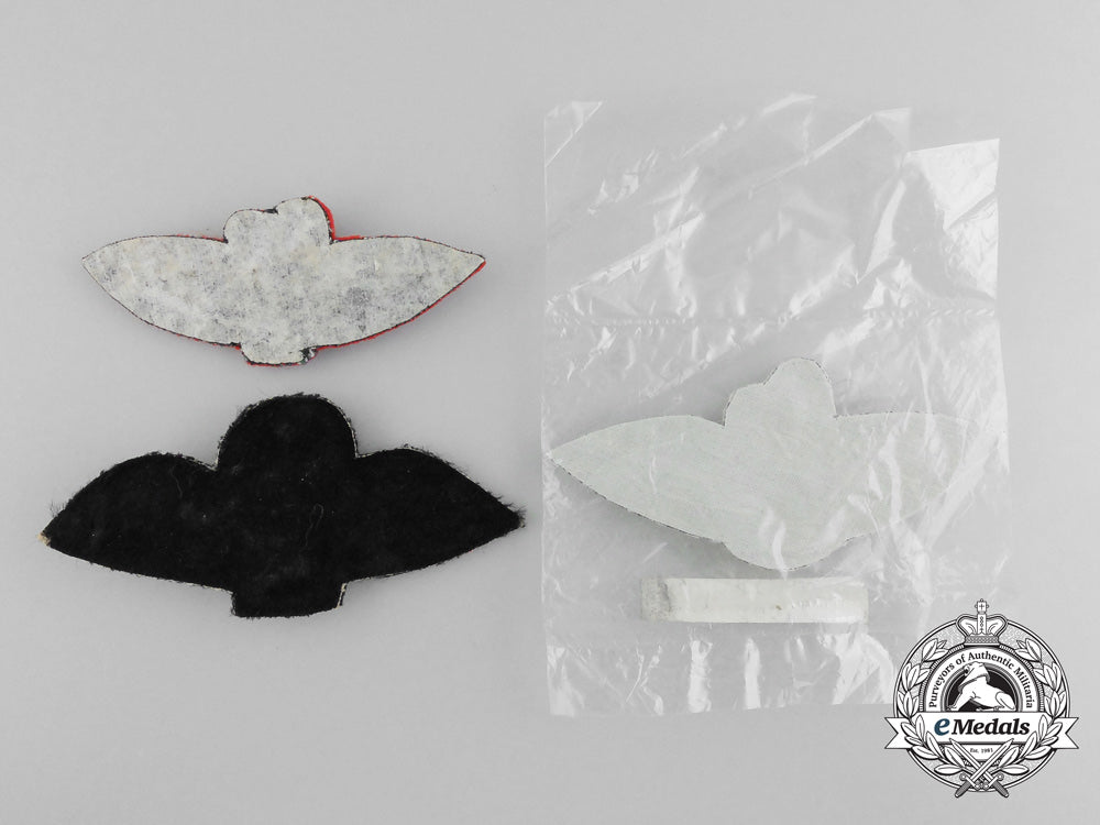 three_qeii_royal_air_force(_raf)_glider_regiment_pilots_wings_badges_b_9216